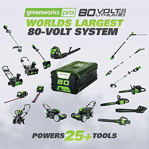 Greenworks Pro 80V 8 Brushless Edger, Battery Not Included ED80L00