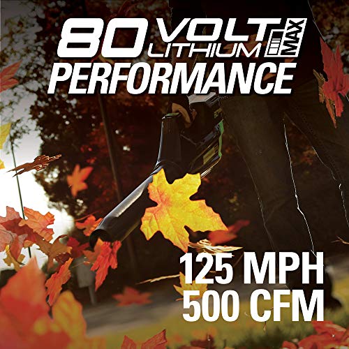 Greenworks Pro 80V Cordless Brushless Axial Blower, 2.0Ah Battery ...