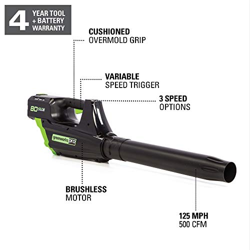Greenworks Pro 80V Cordless Brushless Axial Blower, 2.0Ah Battery ...
