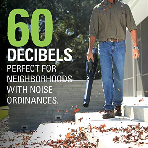 Greenworks Pro 80V Cordless Brushless Axial Blower, 2.0Ah Battery ...