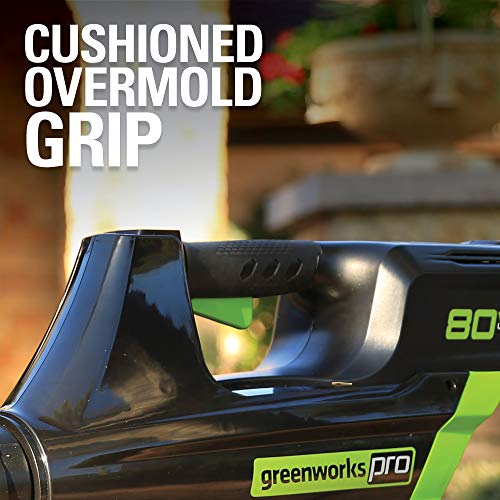 Greenworks Pro 80V Cordless Brushless Axial Blower, 2.0Ah Battery ...
