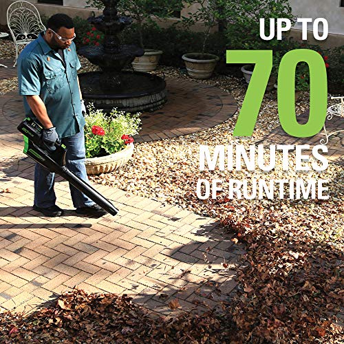 Greenworks Pro 80V Cordless Brushless Axial Blower, 2.0Ah Battery ...