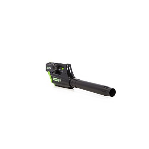 Greenworks Pro 80V Cordless Brushless Axial Blower, 2.0Ah Battery ...