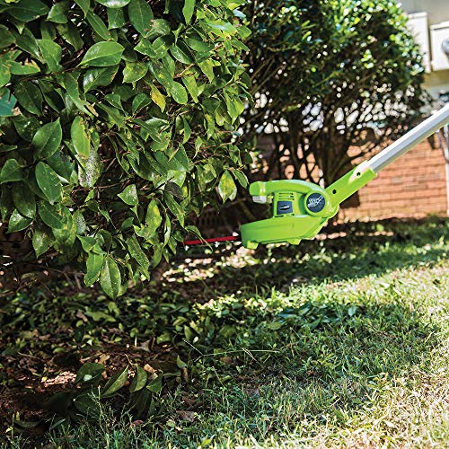 Greenworks PSPH40B210 8 Inch 40V Cordless Pole Saw with Hedge Trim...