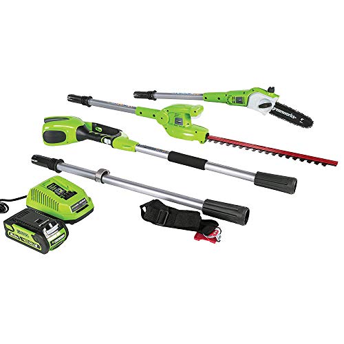 Greenworks PSPH40B210 8 Inch 40V Cordless Pole Saw with Hedge Trim...