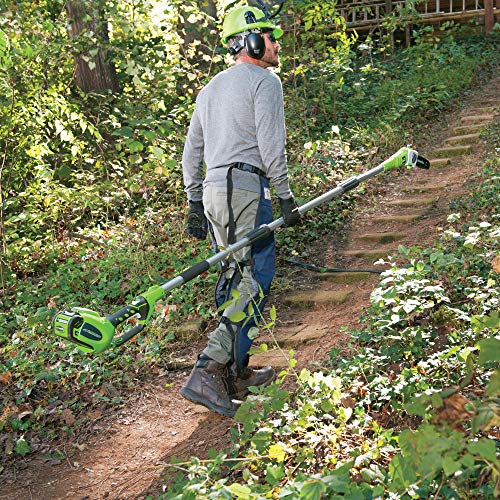 Greenworks PSPH40B210 8 Inch 40V Cordless Pole Saw with Hedge Trim...