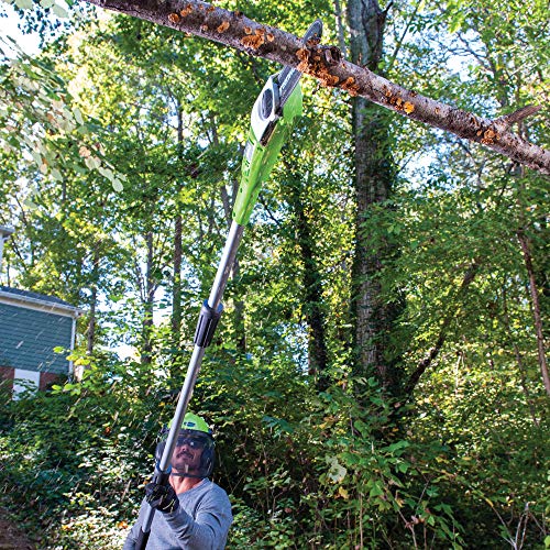 Greenworks PSPH40B210 8 Inch 40V Cordless Pole Saw with Hedge Trim...
