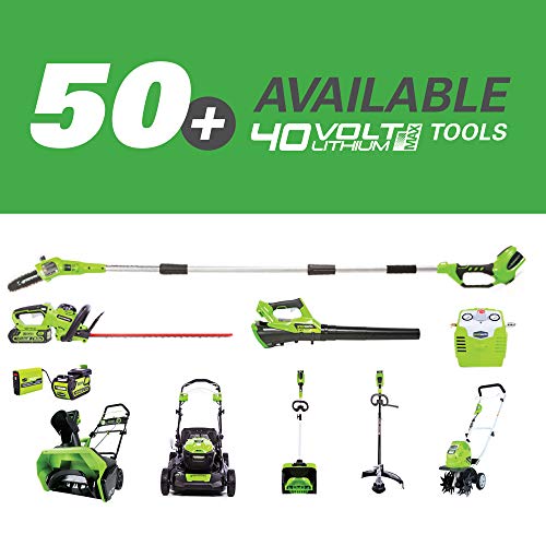 Greenworks PSPH40B210 8 Inch 40V Cordless Pole Saw with Hedge Trim...