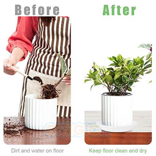GREGICH 6 Pack Plastic Plant Saucer 4 6 Inch, Drip Trays Suit for ...