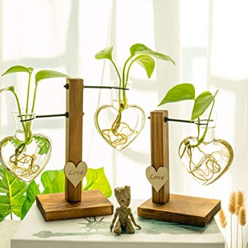 Pacdona Hydroponic Plant Terrariums Vase with Vintage Wooden Stand...