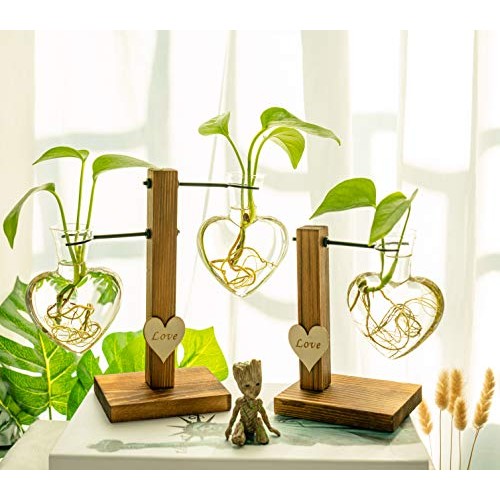 Pacdona Hydroponic Plant Terrariums Vase with Vintage Wooden Stand...