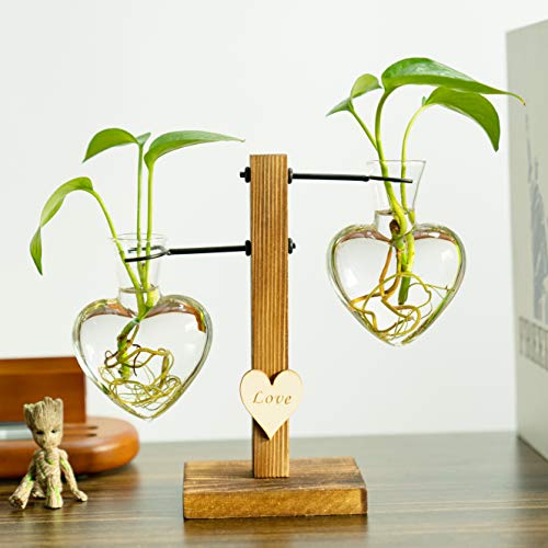 Pacdona Hydroponic Plant Terrariums Vase with Vintage Wooden Stand...