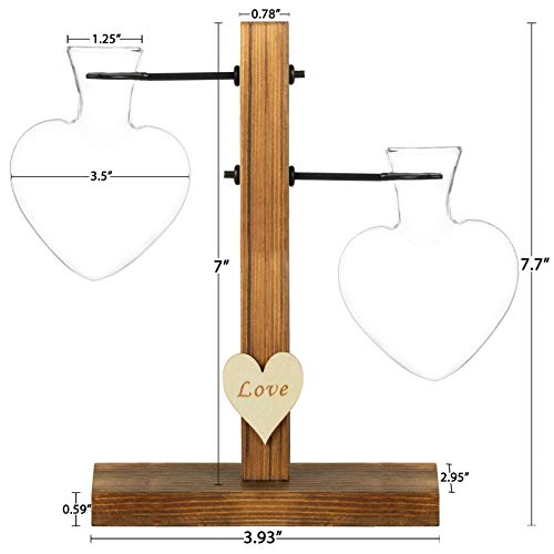 Pacdona Hydroponic Plant Terrariums Vase with Vintage Wooden Stand...