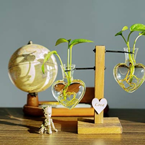 Pacdona Hydroponic Plant Terrariums Vase with Vintage Wooden Stand...