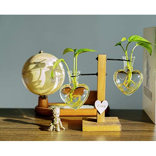 Pacdona Hydroponic Plant Terrariums Vase with Vintage Wooden Stand...