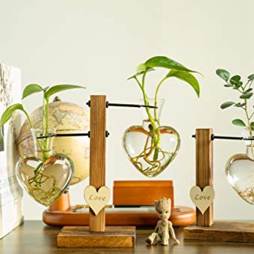 Pacdona Hydroponic Plant Terrariums Vase with Vintage Wooden Stand...