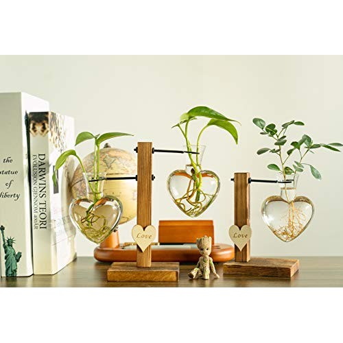 Pacdona Hydroponic Plant Terrariums Vase with Vintage Wooden Stand...