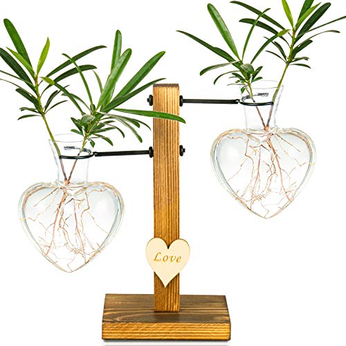 Pacdona Hydroponic Plant Terrariums Vase with Vintage Wooden Stand...