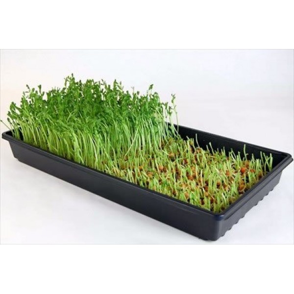 Microgreens Growing Kit - Grow Micro Greens & Baby Salad - Soil Ba...