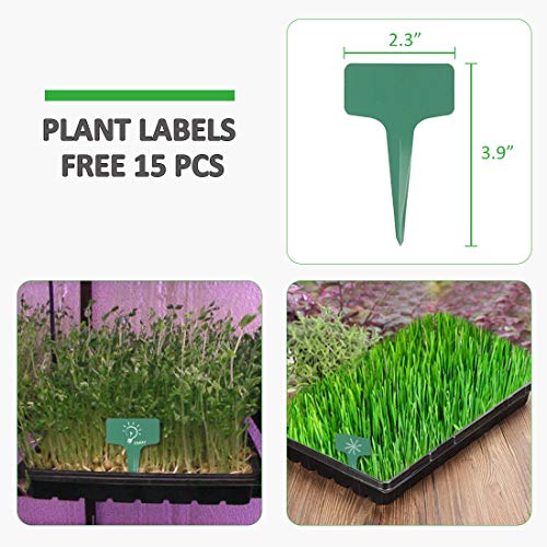 GROWNEER 12 Packs 15 x 11 x 2.6 Inches Plastic Growing Trays with ...