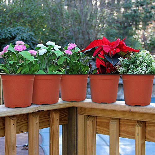 GROWNEER 120 Packs 6 Inches Plastic Plant Nursery Pots with 15 Pcs...