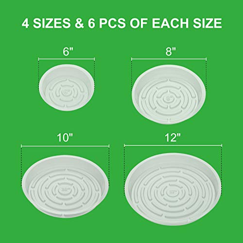 GROWNEER 24 Packs Clear Plant Saucer Drip Trays, with 15 Pcs Plant...