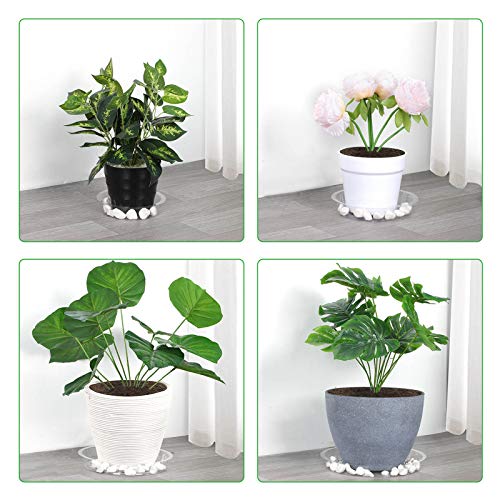 GROWNEER 24 Packs Clear Plant Saucer Drip Trays, with 15 Pcs Plant...
