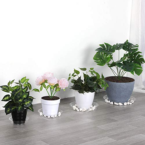 GROWNEER 24 Packs Clear Plant Saucer Drip Trays, with 15 Pcs Plant...