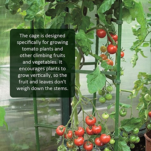 GROWNEER 3-Pack Plant Cages Assembled Tomato Garden Cages Stakes V...