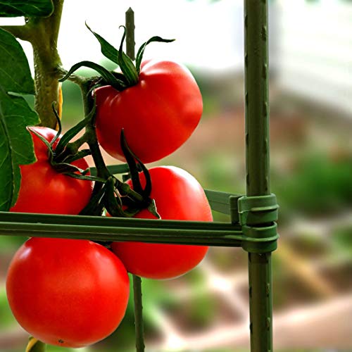 GROWNEER 3-Pack Plant Cages Assembled Tomato Garden Cages Stakes V...