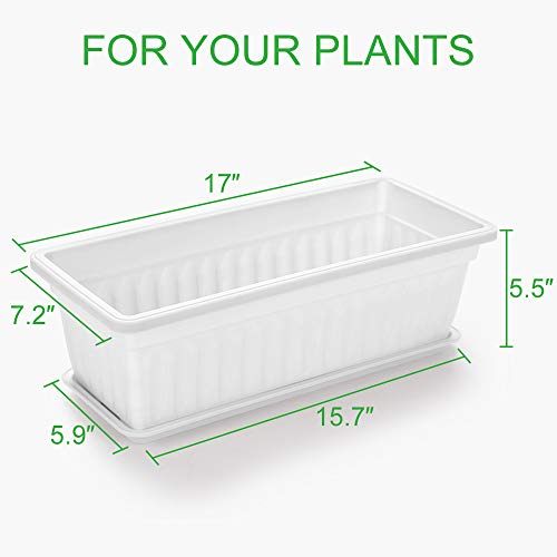 GROWNEER 3 Packs 17 Inches White Flower Window Box Plastic Vegetab...