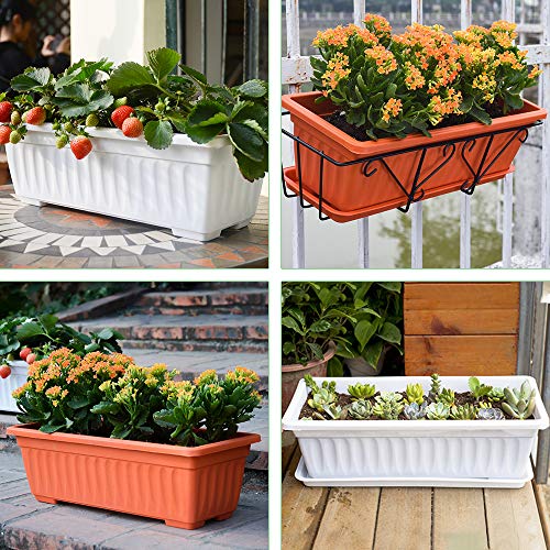 GROWNEER 3 Packs 17 Inches White Flower Window Box Plastic Vegetab...