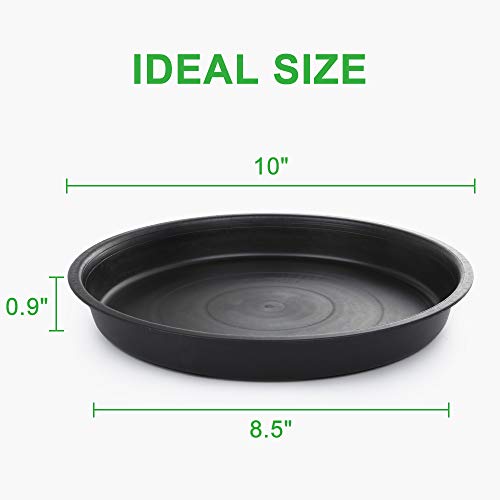 GROWNEER 6 Packs 10 Inches Plant Saucer Drip Trays, Suit for Pots ...