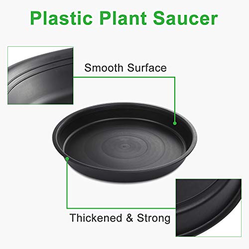 GROWNEER 6 Packs 10 Inches Plant Saucer Drip Trays, Suit for Pots ...