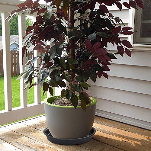 GROWNEER 6 Packs 10 Inches Plant Saucer Drip Trays, Suit for Pots ...