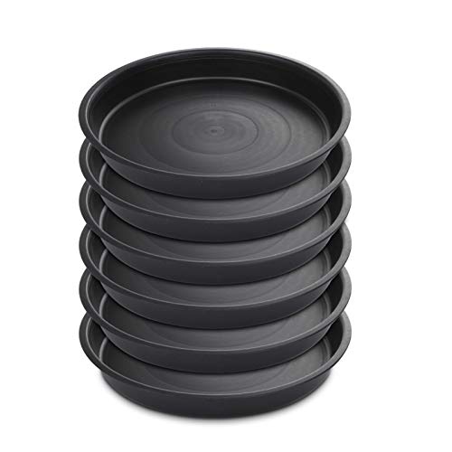 GROWNEER 6 Packs 10 Inches Plant Saucer Drip Trays, Suit for Pots ...
