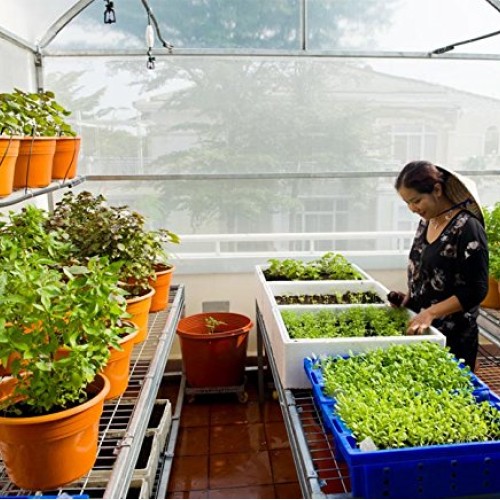 Gt4 6 Mil Uv Treated Standard Clear Greenhouse Film, 14 Wide X 25...