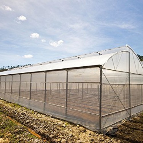Gt4 6 Mil Uv Treated Standard Clear Greenhouse Film, 14 Wide X 25...