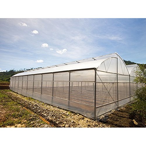 Gt4 6 Mil Uv Treated Standard Clear Greenhouse Film, 14 Wide X 25...