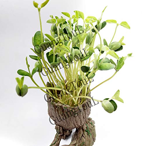 GuangTouL Groot Flowerpot Guardians of The Galaxy Baby Action Figu...