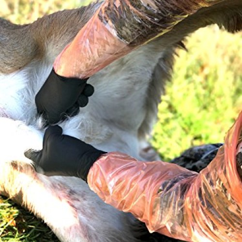 Deer Gutting Gloves by Guardian Hunting - Field dressing gloves wi...