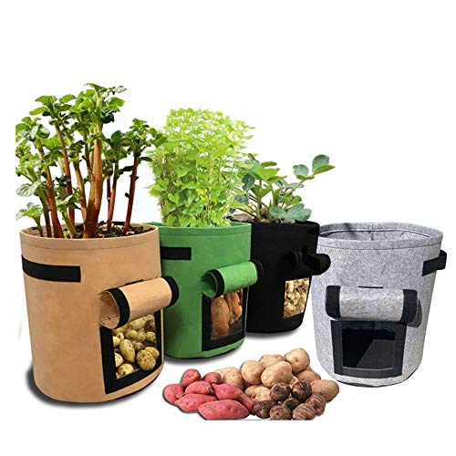Mushroom growing kit, grow bags Garden Potato Grow Bag, Access Fla...