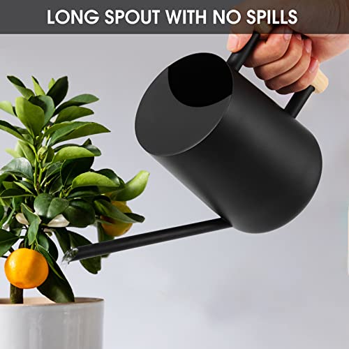 Watering Can Indoor Plants, 35 oz/1000 ml Metal Stainless Steel Wa...