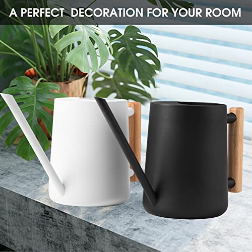 Watering Can Indoor Plants, 35 oz/1000 ml Metal Stainless Steel Wa...