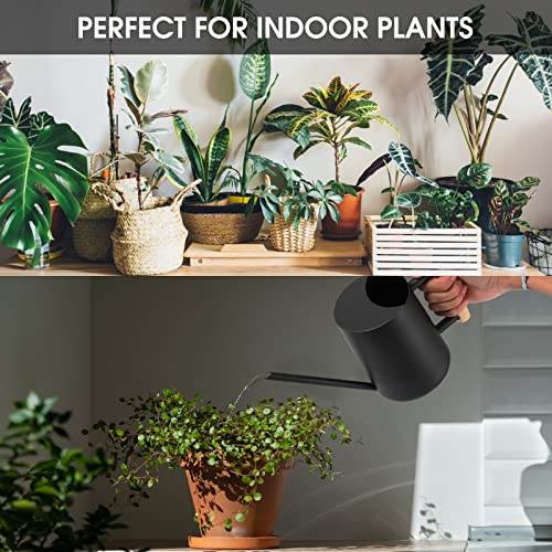Watering Can Indoor Plants, 35 oz/1000 ml Metal Stainless Steel Wa...