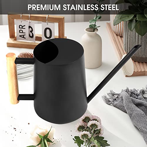 Watering Can Indoor Plants, 35 oz/1000 ml Metal Stainless Steel Wa...