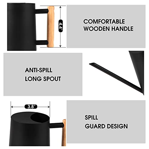 Watering Can Indoor Plants, 35 oz/1000 ml Metal Stainless Steel Wa...