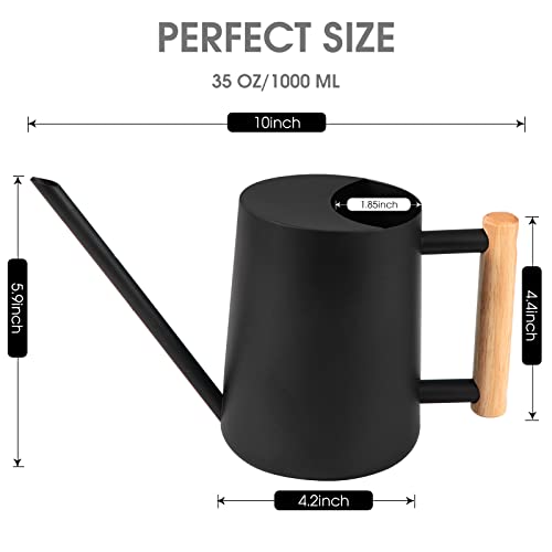 Watering Can Indoor Plants, 35 oz/1000 ml Metal Stainless Steel Wa...