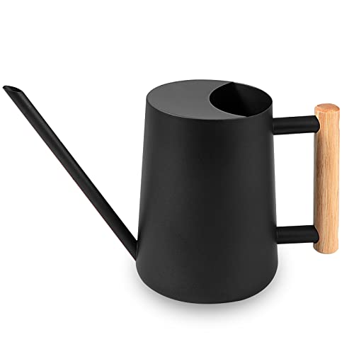 Watering Can Indoor Plants, 35 oz/1000 ml Metal Stainless Steel Wa...