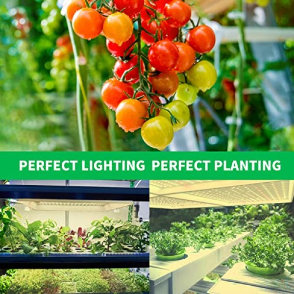 LED Grow Lights-GVG LED 600W Grow Light Full Spectrum LED Grow Lig...